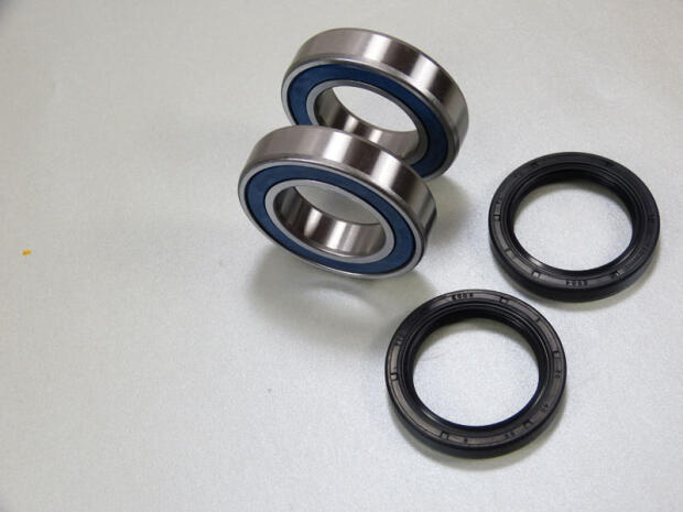 All Balls Radlager vorne Kymco MXU 250 / MXU 300 verstärkt