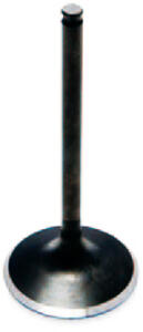 Intake valve Beeline Bestia 5.5 / Online X 5.5