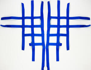 Net for nerf bar blau for Xtremeparts Nerfbar