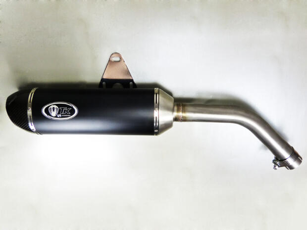 Auspuff für Kawasaki KLE 500 Carbon