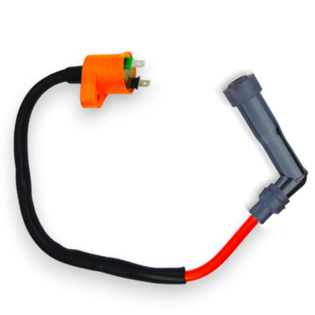 Zündspule SMC Barossa 250 300 Tuning Powerspule