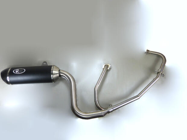 Auspuff Honda Varadero XLV 125 Carbon Edition mit ABE