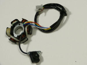 Lichtmaschine Stator 8 Spulen GY6 125/150ccm Longbo LB150T-12 150 4T Adventure