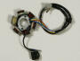 Stator Aiyumo 125 Aruba / Capri / Classic / Nassau Alternator