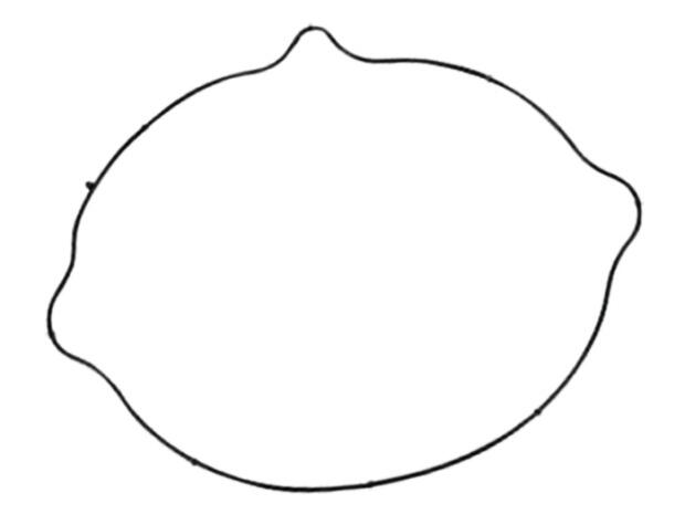 Kupplung Dichtung Suzuki DR-Z 400 Kupplungsdeckel