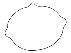 Kupplung Dichtung für Suzuki DR-Z 400 Kupplungsdeckel