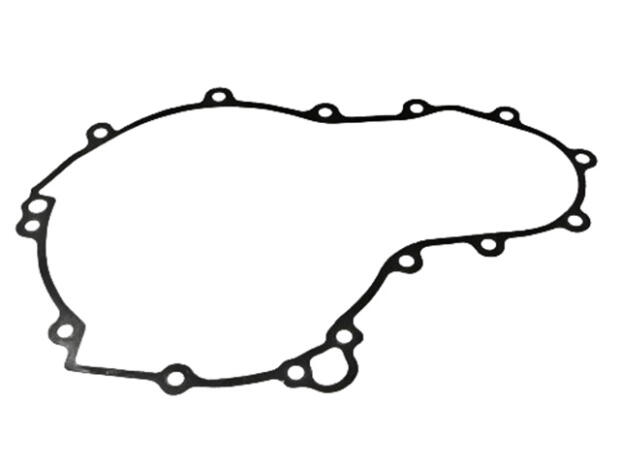 Lichtmaschinen Dichtung für BMW F 800 / 700 / 650 GS / ST Twin