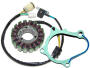 Stator Yamaha Raptor YFM 660 R 30% more power set with gasket