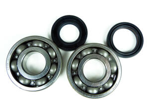 Crankshaft rebuilding kit Yamaha TZR / TDR / DT125...