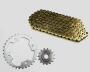 Chain kit Honda CBR 125 R, CBR125, JC34, JC39 years 04-10 t.15/42 gold chain reinforced