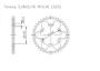 Kettenrad für Sym Wolf / Husky 125 Legend Zähnezahl 41