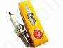 Spark plug NGK Dinli 565/700/800 Centhor/Ares/Evo/S800 crossover