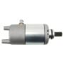 Anlasser Jianshe Puma 250 Starter 171FMM für JS250ATV-3A