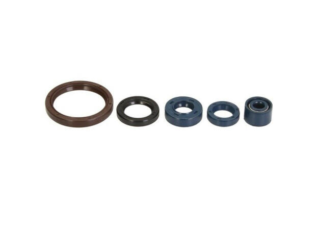 Wellendichtring Satz Motor Husqvarna TE/TC 250 / 450 03-10 Motor Überholung