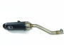 Auspuff für alle Yamaha TT 600 Carbon