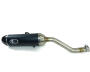Auspuff für alle Yamaha TT 600 Carbon