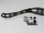 Auspuff für Yamaha TZR 50 GP 4YV
