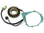 Lichtmaschine für Yamaha Raptor YFM 350 R Stator + Dichtung