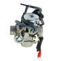 Vergaser für Aeon Cobra 125