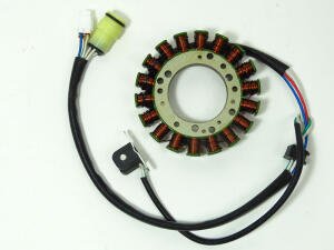 Lichtmaschine Yamaha Raptor YFM 350 R Stator