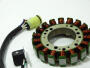 Lichtmaschine Yamaha Raptor YFM 350 R Stator