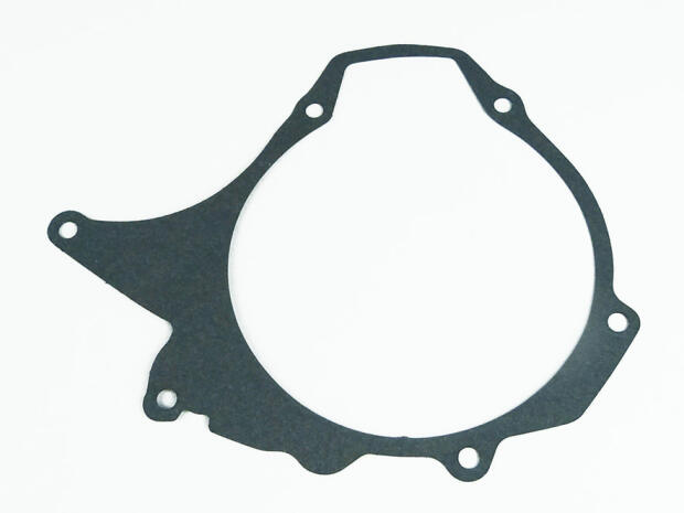 Dichtung Lichtmaschinen Stator Yamaha TDR 125