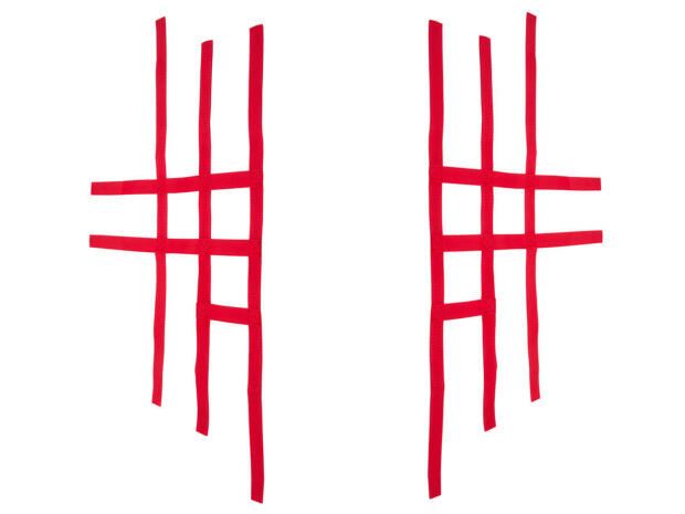 Nerfbar Netz für Yamaha YFM 250 R rot Nerf Bar R1 3+2