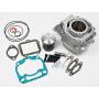 Cylinder for Aprilia RS 125 big bore kit Rotax 123 tuning