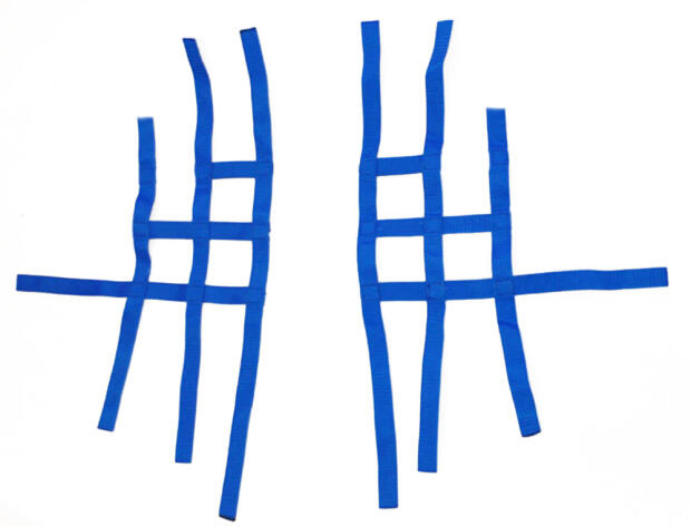 Nerf bar net universal for SMC Ram 150/250 blue 3+1