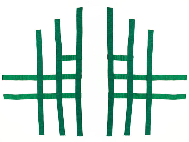 Nerfbar Netz Honda TRX 450 grün Nerf bar R1