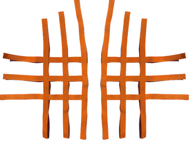 Nerfbar Netz Honda TRX 700 XX orange Nerf bar R1