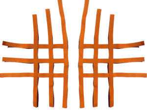 Nerfbar Netz Honda TRX 700 XX orange Nerf bar R1