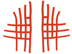 Nerfbar Netz für KTM 450/525 XC orange Nerf bar R1