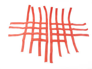 Nerfbar Netz Polaris Predator 500 rot Nerf bar R1