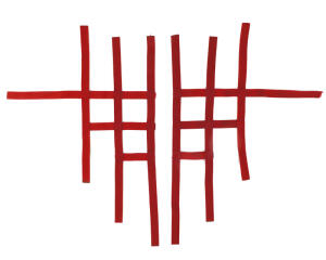 Nerf bar net universal for SMC Ram 150/250 red 3+1