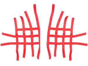 Nerfbar Netz Quad ATV rot Nerf Bars 4&2