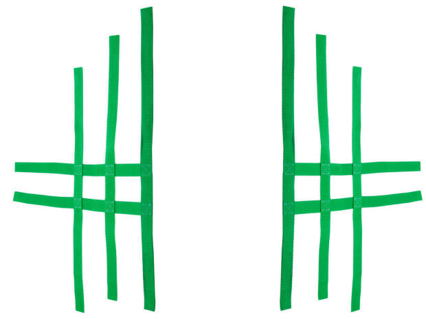 Nerfbar Netz Kawasaki KFX 700 grün Nerf bar R1