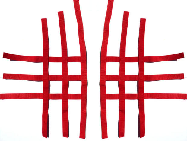 Nerfbar Netz Kawasaki KFX 450 rot Nerf bar R1 3+3