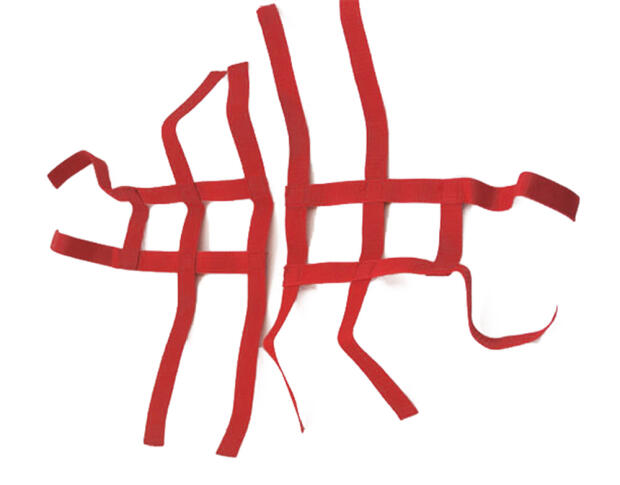 Nerfbar Netz Kymco MAXXER rot Nerf bar R1 2+2