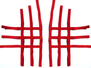 Nerfbar Netz für KTM 505/450 SX rot Nerf bar R1