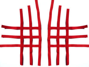 Nerfbar Netz Polaris Outlaw 525 S/450 rot Nerf bar R1