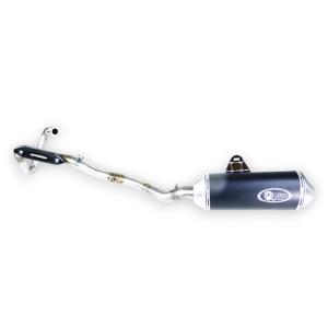 Exhaust Yamaha WR 125 R / X e-mark