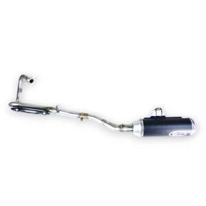 Exhaust Yamaha WR 125 R / X e-mark