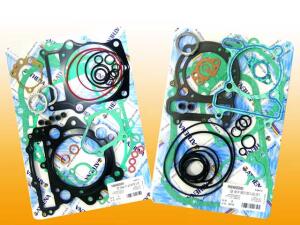 Dichtungssatz Polaris RZR 1000 XP Motor