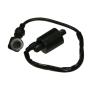 Zündspule für Yamaha Warrior YFM 350 X + Zündkerzenstecker