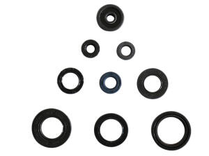 Engine Oil Seals Kit for Yamaha DT 125 R TDR 125 TZR 125...