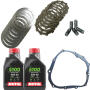 Clutch kit Shineray XY 250 ST-9E / SRM / STIXE / XY 250 ST-3E / Spyder with oil and clutch gasket