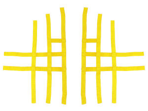 Nerf Bar Netz SMC Canyon 500 RAM 502 RR gelb