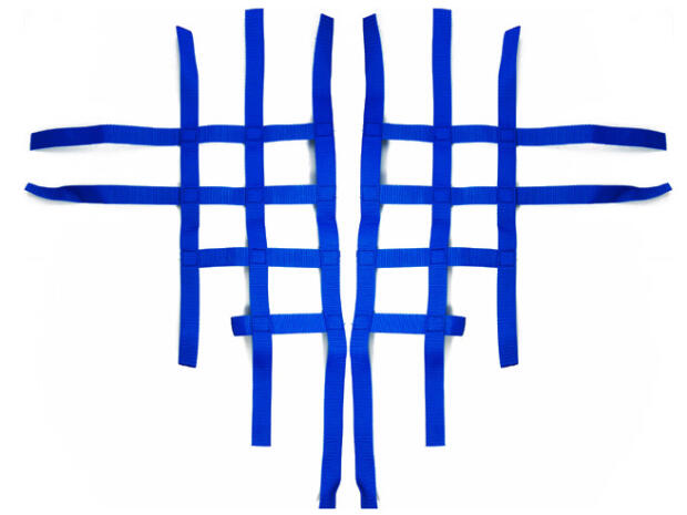 Nerf Bar Netz SMC Bronco / RAM 323 blau