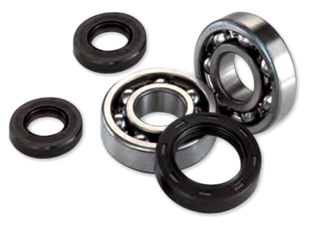 Crankshaft bearing kit Pegasus Sky II scooter